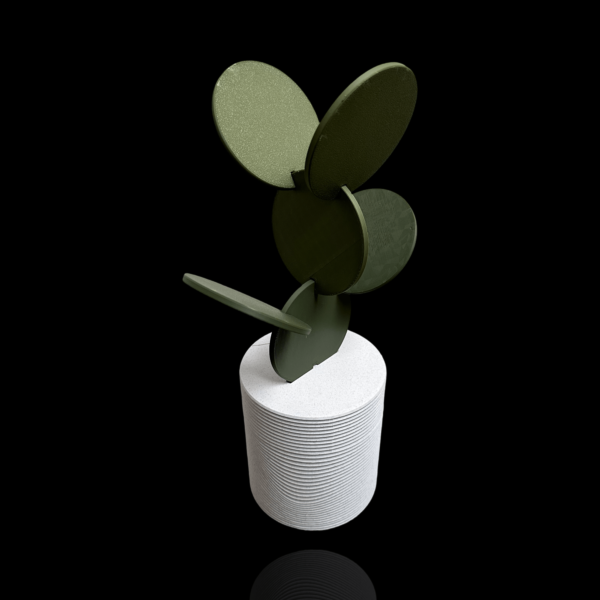 Cactus-onderzetters