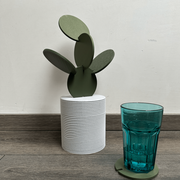 Cactus-onderzetters